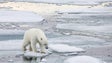 Temperatura no Ártico vai aumentar 3 a 5 graus até 2050