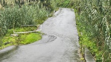 Imagem de Estrada da Maiata de Baixo, no Porto da Cruz, cedeu esta tarde