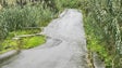 Imagem de Estrada da Maiata de Baixo, no Porto da Cruz, cedeu esta tarde