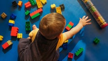 Imagem de Associação para Pessoas com Autismo promoveu conferência na Escola Gonçalves Zarco
