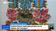 Imagem de Artista Catarina Branco traz trabalhos dos Açores para mostrar na Madeira