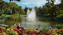 Imagem de Funchal vai ter regulamento para jardins e espaços verdes