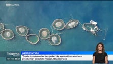 Imagem de Albuquerque: Jaulas não vão trazer qualquer tipo de problema ambiental (vídeo)