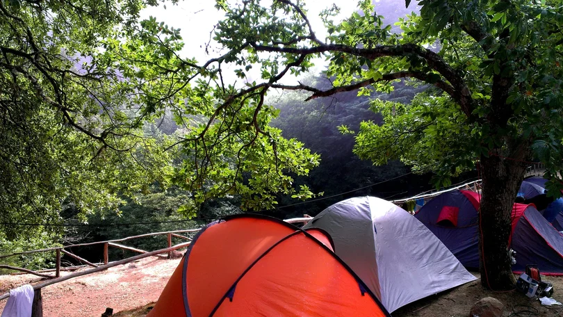 Imagem de Aguaceiros fracos nas vertentes norte e terras altas