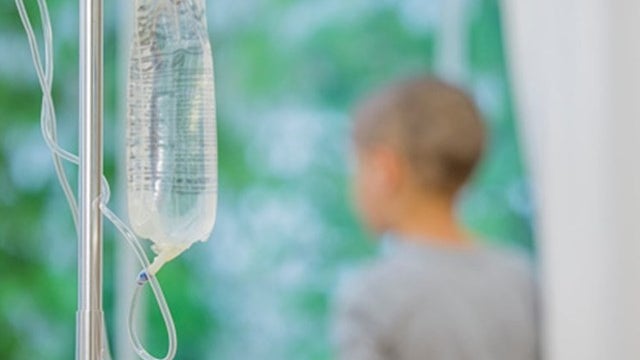 Imagem de Estudo deteta células que causam leucemia antes de a doença se manifestar