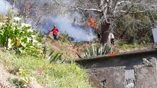 Imagem de Incêndio no Estreito de Câmara de Lobos