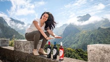 Imagem de Novo vinho madeirense vendeu “quase toda” a produção em apenas um mês