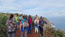 Imagem de Caminho Real recorda Pão por Deus em São Jorge (fotogaleria)