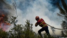 Imagem de Há menos 27% de fogos rurais e menos 70% de área ardida