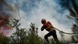 Imagem de Há menos 27% de fogos rurais e menos 70% de área ardida
