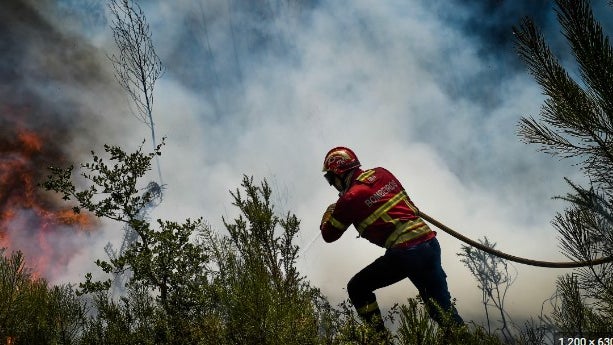 Há menos 27% de fogos rurais e menos 70% de área ardida