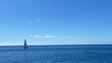 Imagem de Primeiras embarcações da Regata Madeira-Canárias já chegaram à Região (áudio)