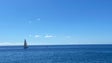 Primeiras embarcações da Regata Madeira-Canárias já chegaram à Região (áudio)