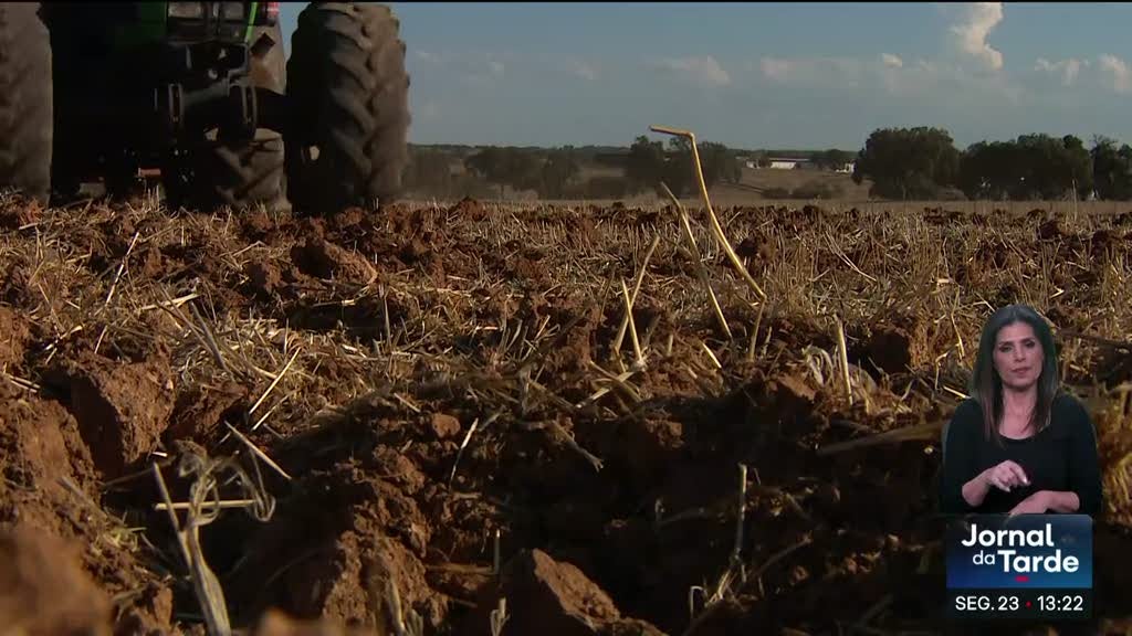 Quem trabalha na agricultura queixa-se do aumento do combustível