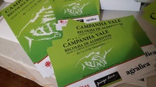 Imagem de Cáritas realiza campanha de recolha de alimentos através de vales (Áudio)