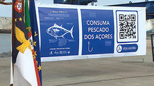 Pandemia prejudicou a exportação de peixe (Vídeo)