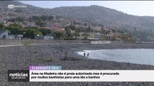 Imagem de Muitos procuram o calhau em frente ao Almirante Reis para banhos (vídeo)