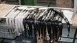 Imagem de Direção Regional de Pescas prepara documento a apresentar à Comissão Europeia (Vídeo)