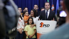 Novo líder do PSD quer ganhar regionais em 2020 (Vídeo)