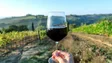 Imagem de Portugal é o país do mundo que consome mais vinho «per capita»