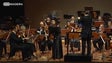 Imagem de Concerto da Orquestra Clássica da Madeira encheu o Teatro Baltazar Dias (Vídeo)
