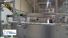 Imagem de Federação Agrícola dos Açores diz que aumentos do preço do leite devem abranger todas as ilhas (Vídeo)