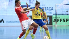 Imagem de Governo pretende aumentar representação feminina no desporto até 2030