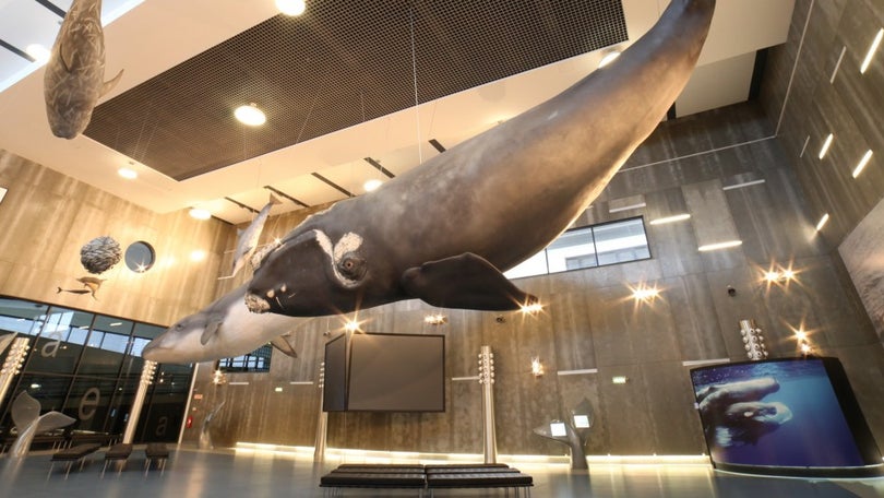 Imagem de Museus e monumentos nacionais recuperaram dois milhões de visitantes em 2022