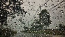 Imagem de Chuva cai para metade da média na Madeira, pelo segundo ano consecutivo (Áudio)