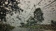 Imagem de Chuva cai para metade da média na Madeira, pelo segundo ano consecutivo (Áudio)