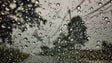 Chuva cai para metade da média na Madeira, pelo segundo ano consecutivo (Áudio)