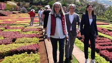Imagem de Governo investe 130 mil euros no Jardim Botânico