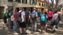 Imagem de Madeira Island Ultra Trail já mexe com a economia local (vídeo)