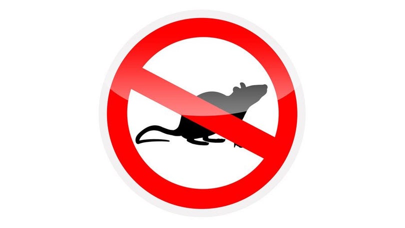 Imagem de Raticida grátis