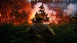 Imagem de Madeira volta a ativar Plano de Combate a Incêndios