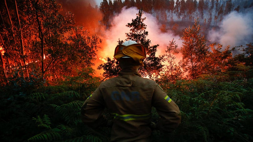 Imagem de Madeira volta a ativar Plano de Combate a Incêndios