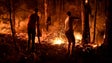 Imagem de Fogo no concelho de Leiria dominado