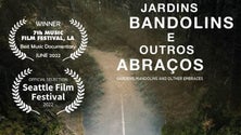 Imagem de Começa hoje a sétima edição do Festival Internacional de Bandolins da Madeira (áudio)