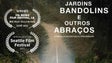Imagem de Começa hoje a sétima edição do Festival Internacional de Bandolins da Madeira (áudio)