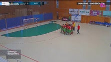 Imagem de Marítimo venceu Académico de Viseu por 38-32 (vídeo)