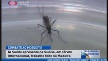Imagem de Trabalho de combate ao mosquito na Madeira elogiado na Suécia (Vídeo)