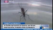 Trabalho de combate ao mosquito na Madeira elogiado na Suécia (Vídeo)