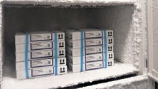Imagem de Madeira recebe 35.100 vacinas da Pfizer