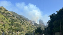 Imagem de Investigação indicia que os incêndios dos últimos dias foram fogo posto (áudio)