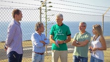 Imagem de JPP pede audição parlamentar sobre trabalhadores da Portway