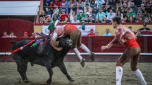 Tradição da corrida de touros volta a cumprir-se este ano na Praia da Vitória (Vídeo)