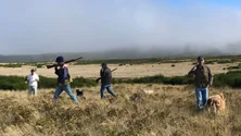 Imagem de Época de caça na Madeira e no Porto Santo começa no próximo domingo (áudio)