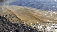 Detetada mancha de poluição na praia da Ribeira Brava