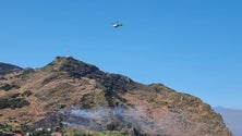 Imagem de Incêndio em Machico (vídeo)