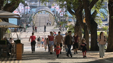 Imagem de Domingo feriado convida a passeios (vídeo)